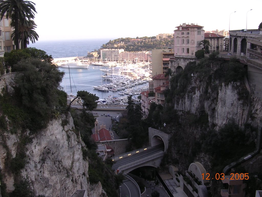 Marina from railway station,Monaco by guide paul