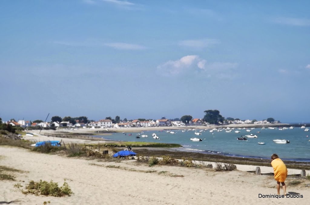 Noirmoutier aout 2013 by dom44