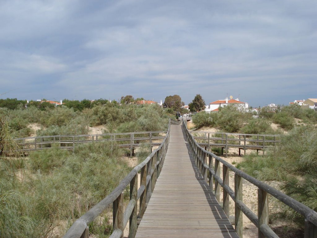 Caminos de acceso a Praia by LA_DORADA