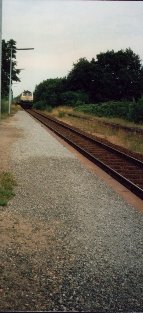 Bahnhof Stederdorf - 1996 by gehrminator