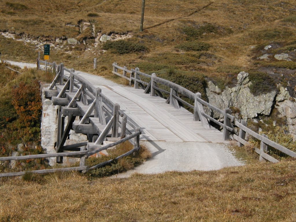 Pont sur la Bernina 3 by martialou