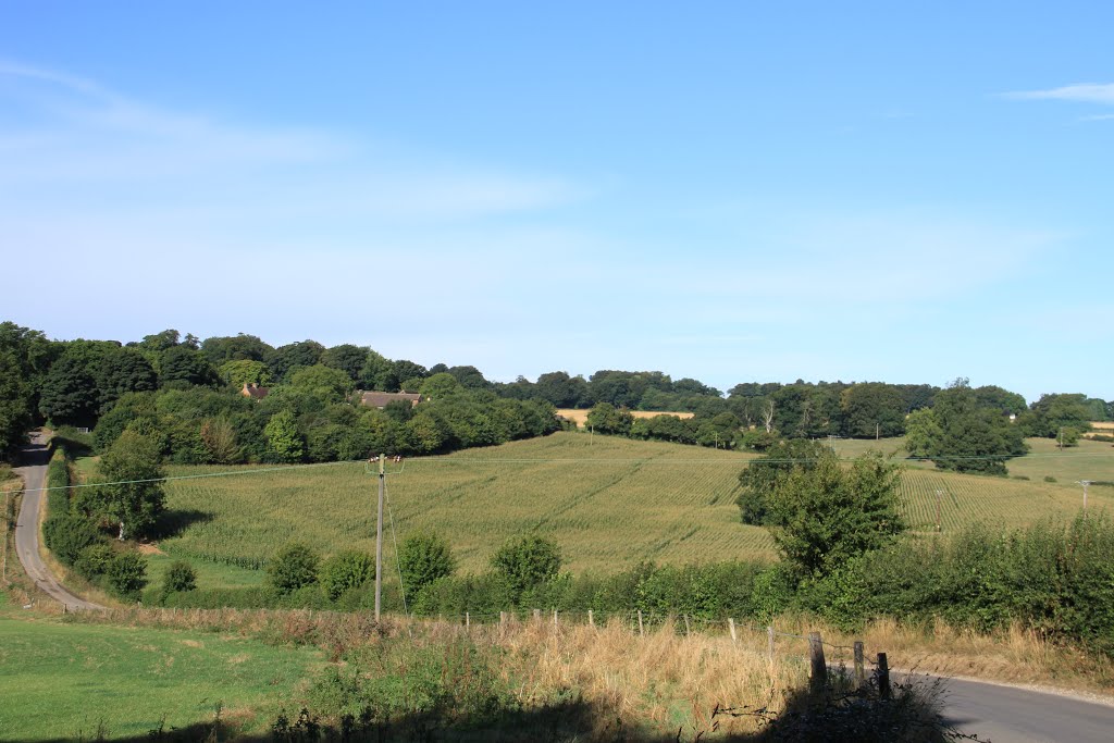 Grammarsham Lane, Farliegh Wallop by SBower