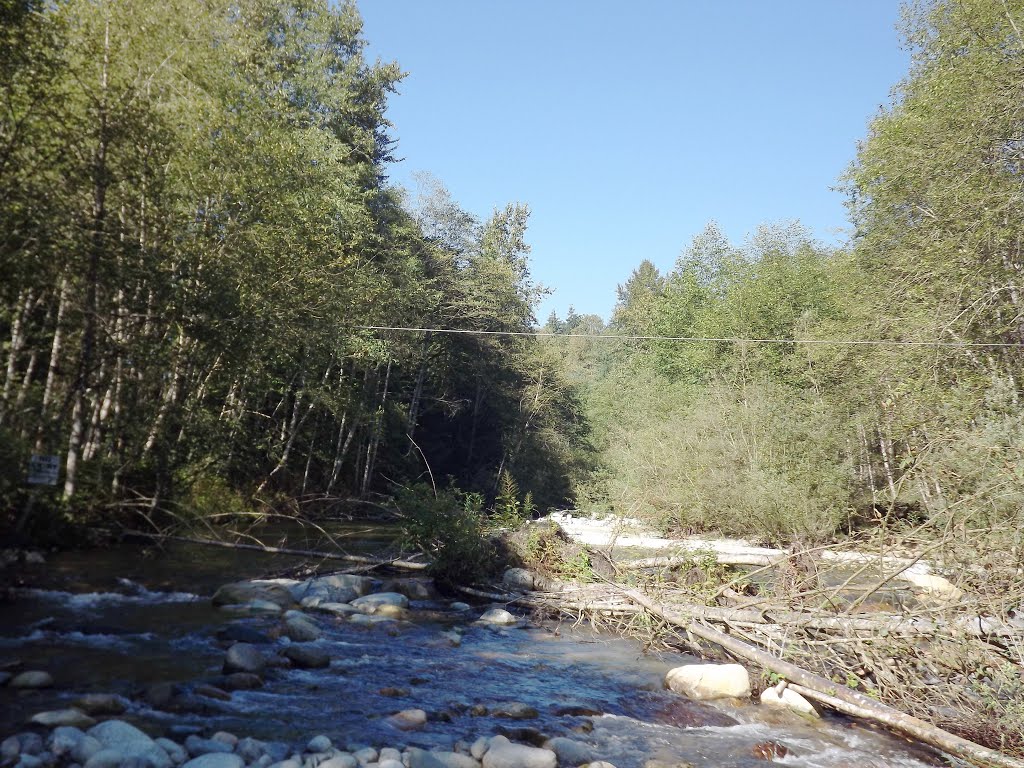 Coquitlam River, 9/10/2013 by Wester