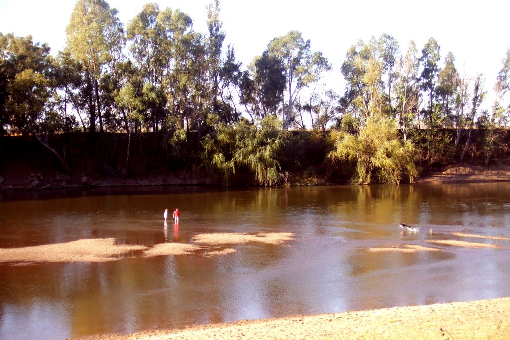 Wagga Wagga Beach - Wagga Wagga, NSW by nipper30