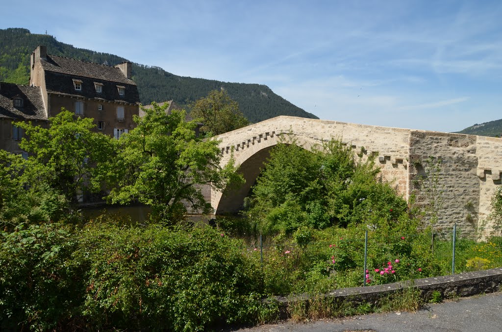 Pont Notre-Dame - Mende (Lozère) by Naru Kenji