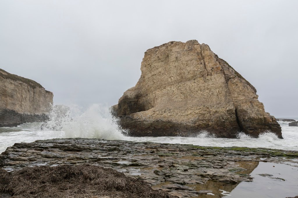 Davenport Beach - Davenport, CA by Sunny Wu