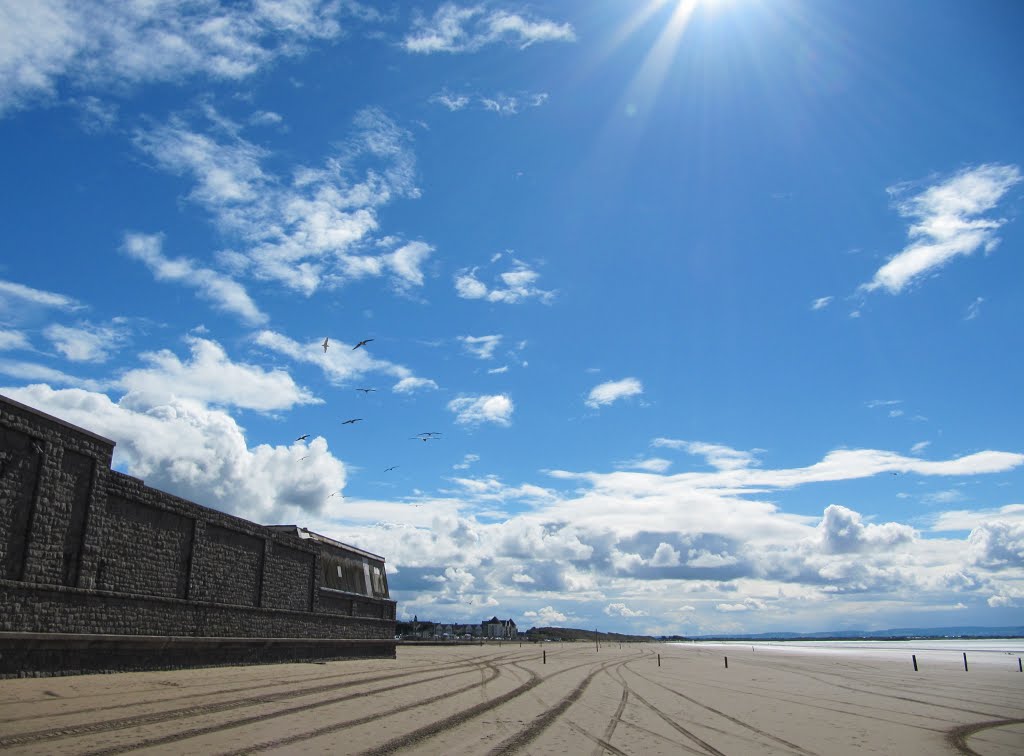 Tracks in the sand at Weston-Super-Mare by oldchippy