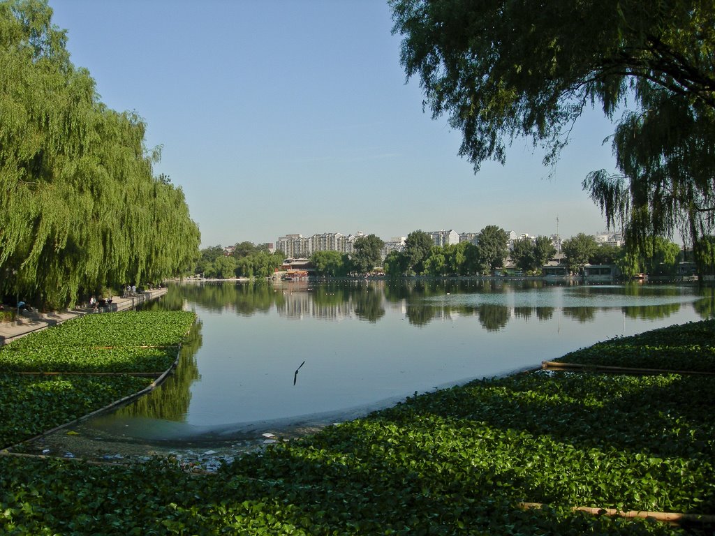 Evening at Xihai Lake by Dudeck