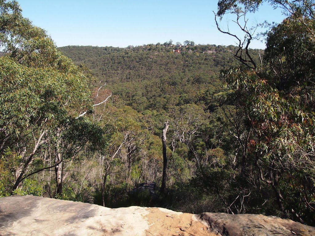 Garigal National Park by WoollyMittens