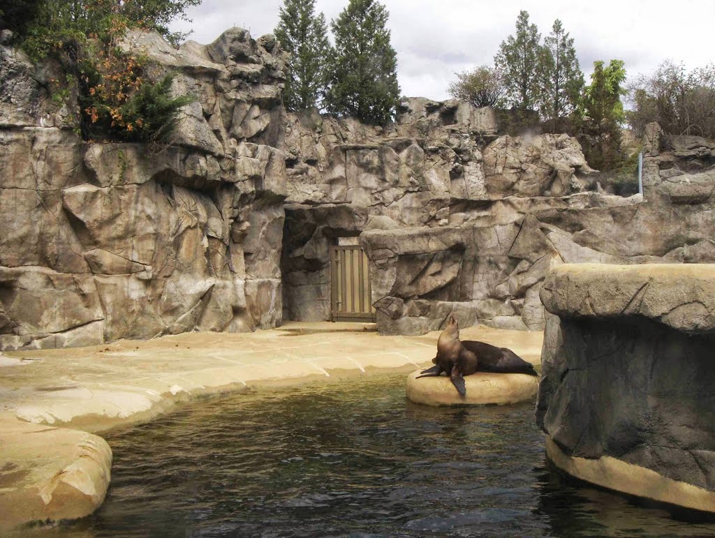 Brookfield Zoo Pinniped Point, GLCT by Robert Maihofer, Great Lakes Casual Traveler