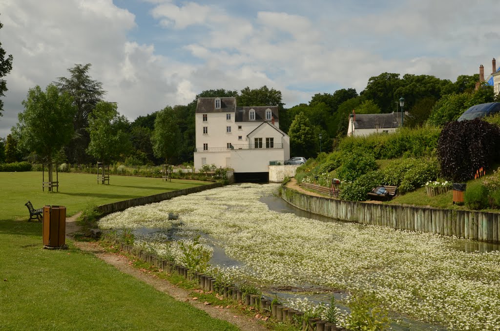 Bords des Mauves - Meung sur Loire (Loiret) by Naru Kenji