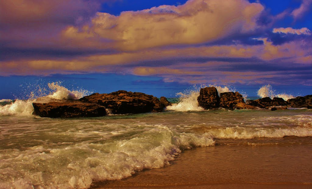 A la Orilla del Paraiso. by Francisco Jose Rios