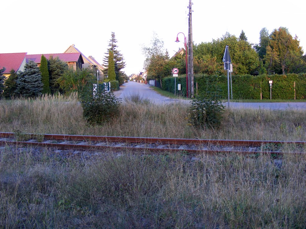 Finsterwalde, Niederlausitz, Haltepunkt Ponnsdorfer Weg, Blick in die Eichestraße by velthurvik