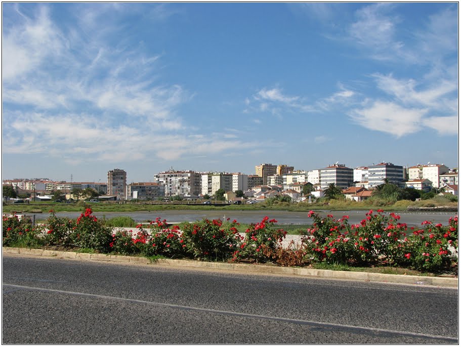 Avenida da República e Vista para as Paivas by Barragon