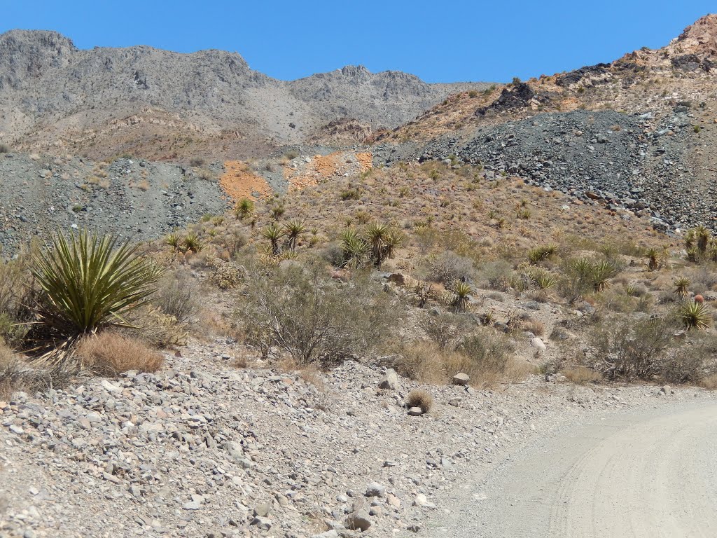 Excelsior Mine Road by Nick Nickerson