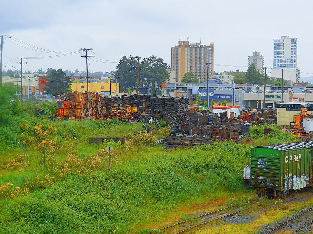 Scene from Bridge connecting Cruise Ship Terminal to City of Nanaimo by WManners