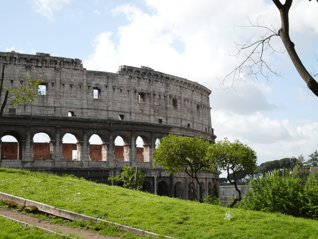 El Coliseo by F. Nestares