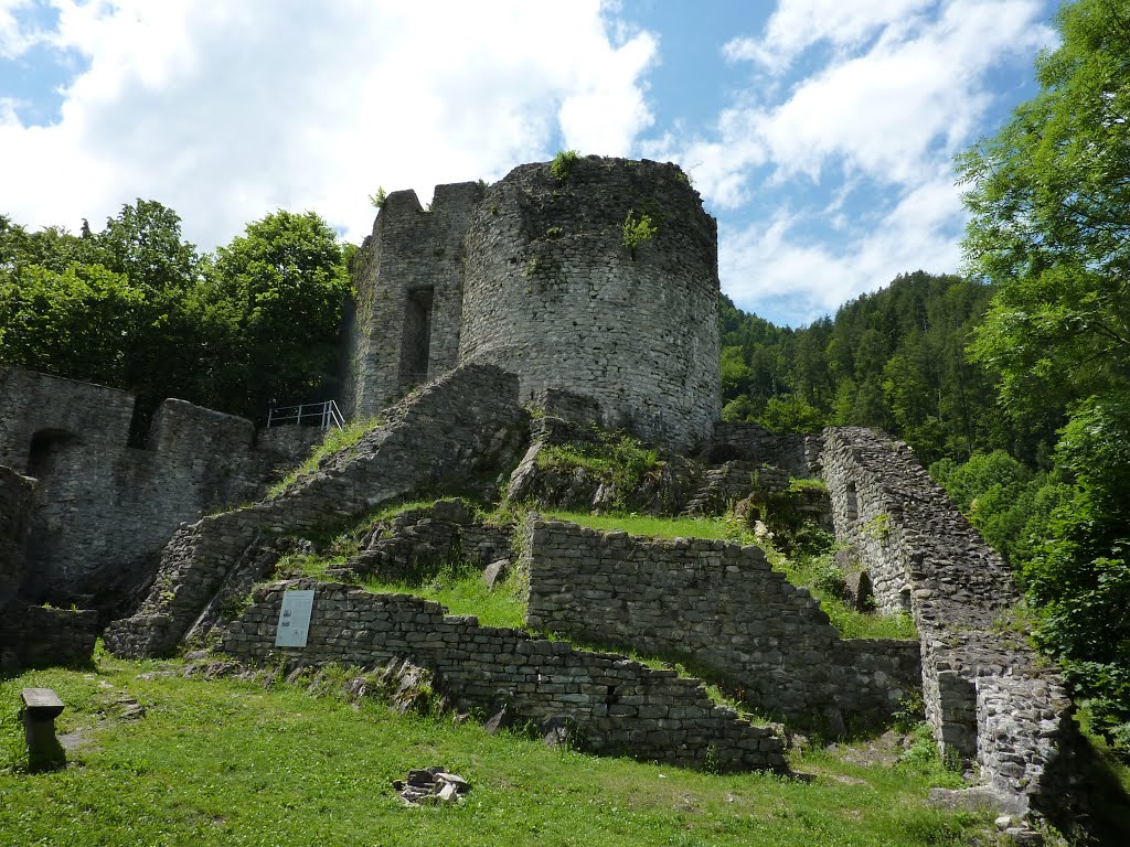 Ruined Castle at Wilderswil, Switzerland by Adrian Farwell