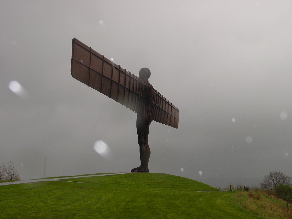 Angel of the North by dave hashdi