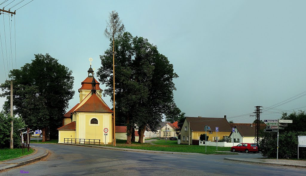 Dnešice by meco1954