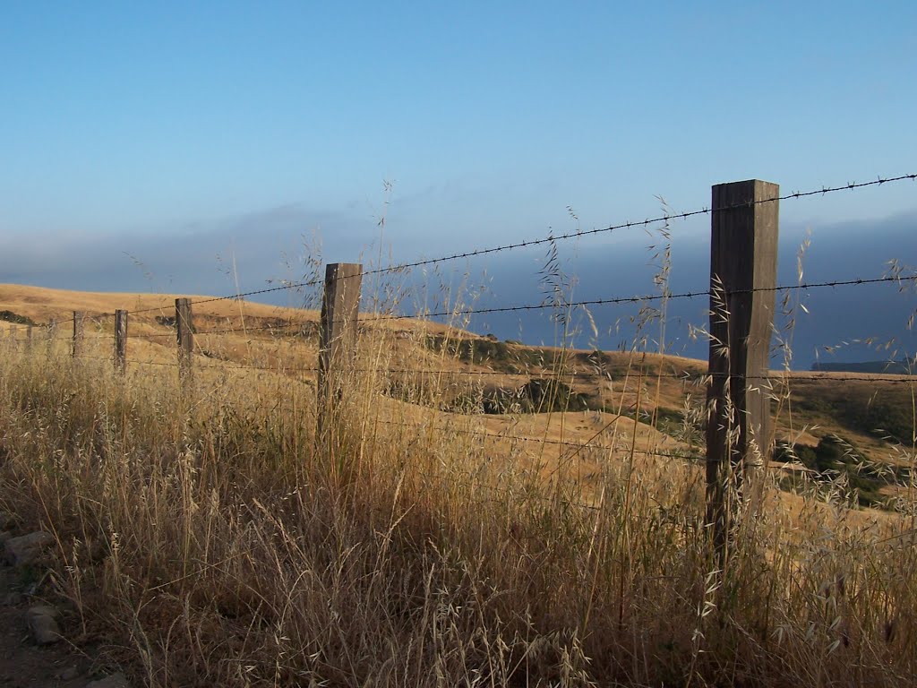 Fence by Big Sur backroad by PerLoll