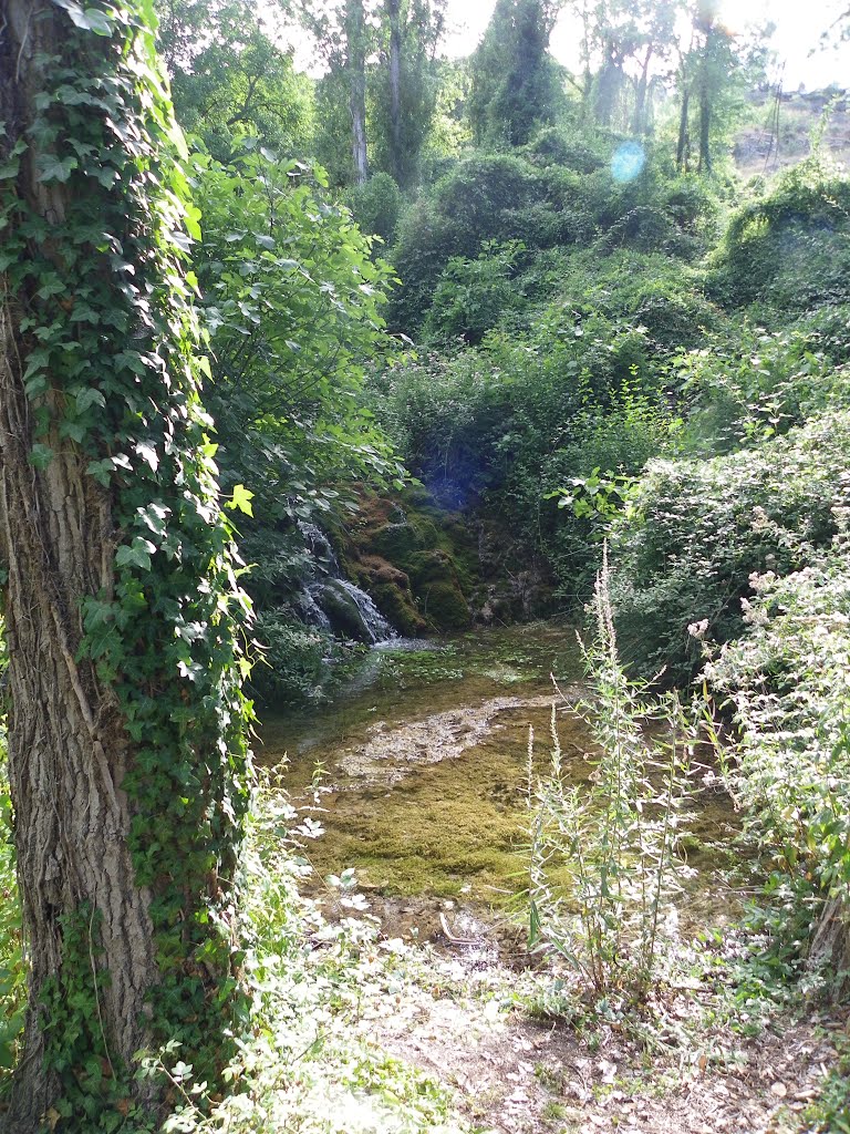 Arroyo de Valdelafuente by sergi1907