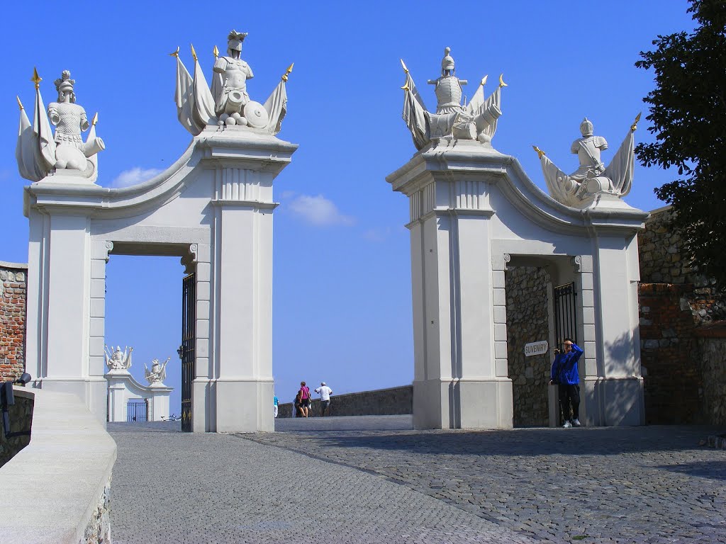 Ornate gate - Díszkapu by Ildikó Fehérváry