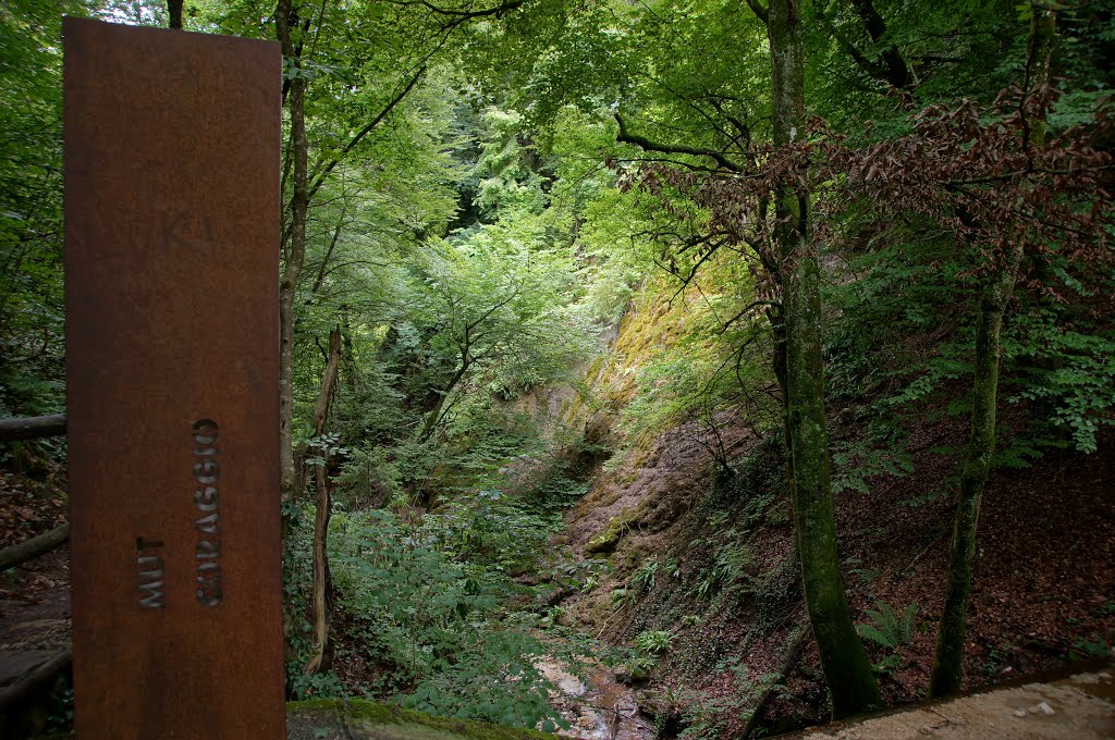 Friedensweg in der Klamm by Jürgen Düring