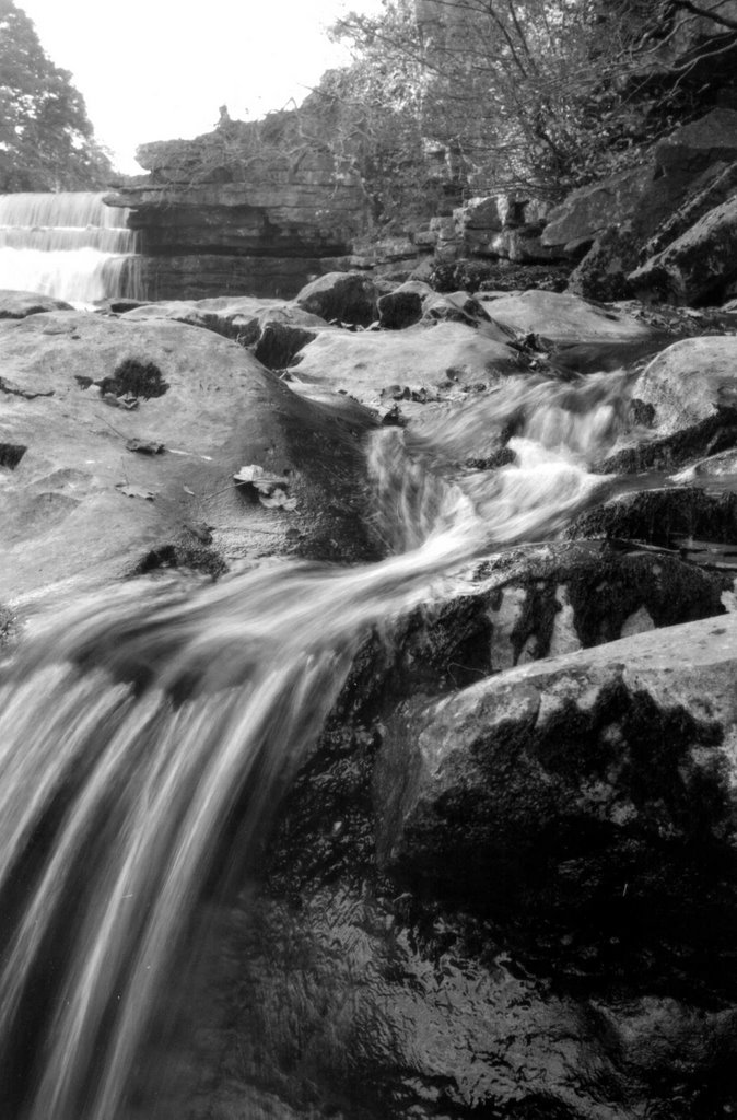 Aysgarth Falls by mark-rowe-images.com