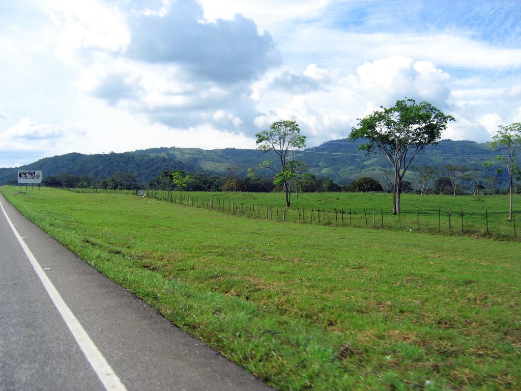 Carretera del llano hacia San Cristobal by Fernando Mota