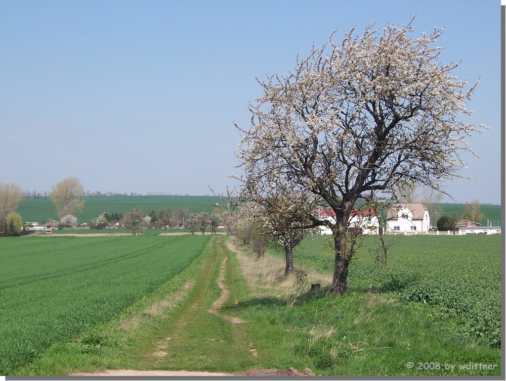 Feldweg bei Gröst by wdittner