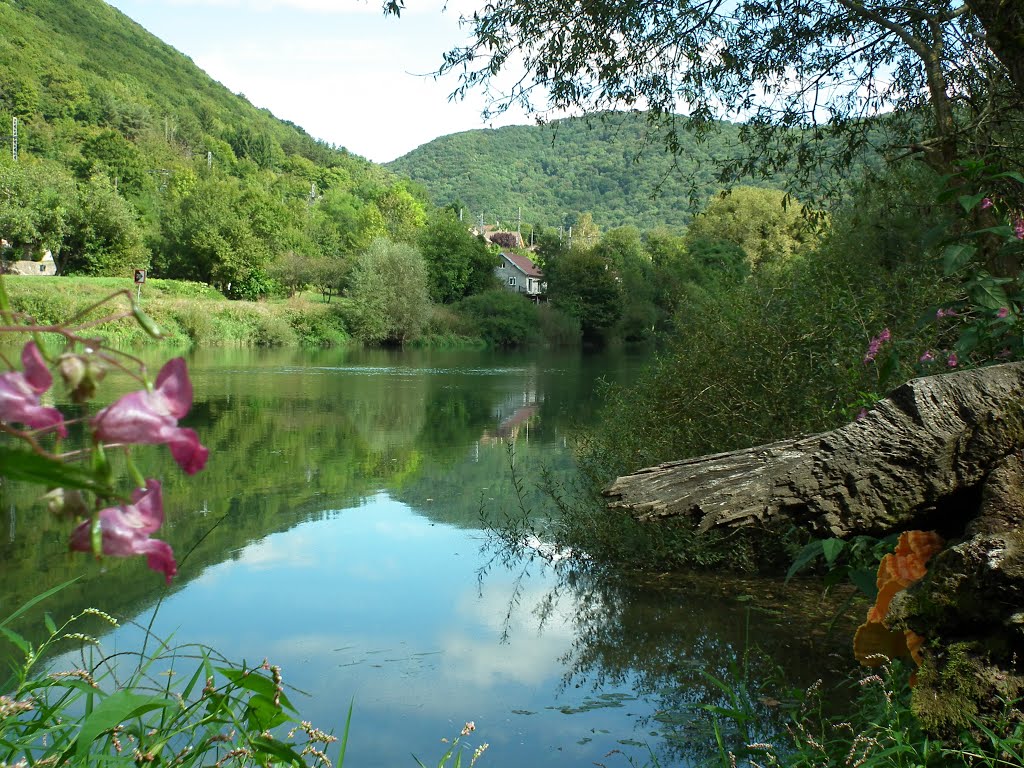 Le Doubs - 13 septembre 2013 by Michel GERMAIN