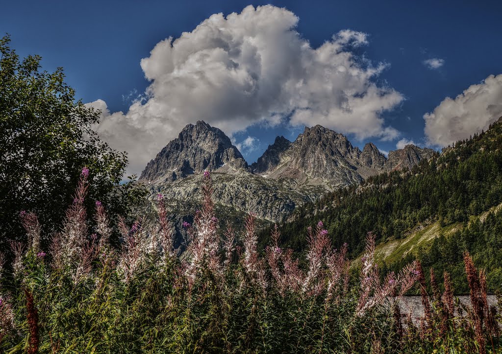 Les Aiguilles Rouges se couvrent . by zambetti salvatore