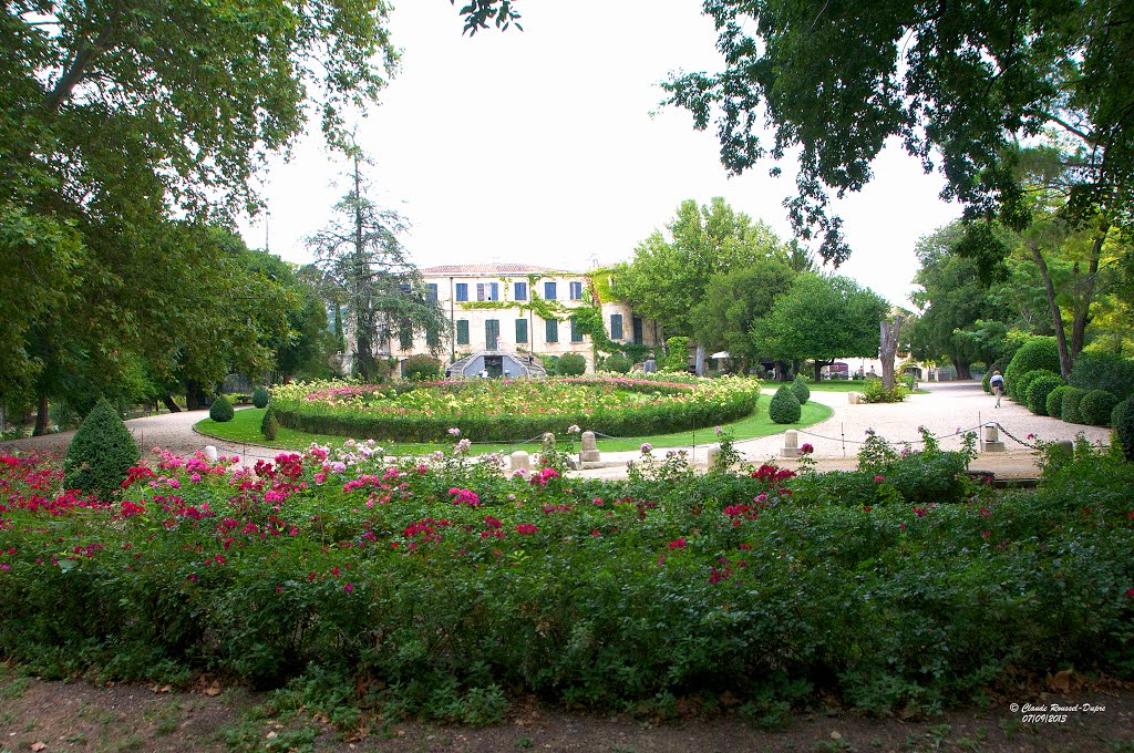 France Fontvieille" Château d'Estoublon" by Claude Roussel-Dupré