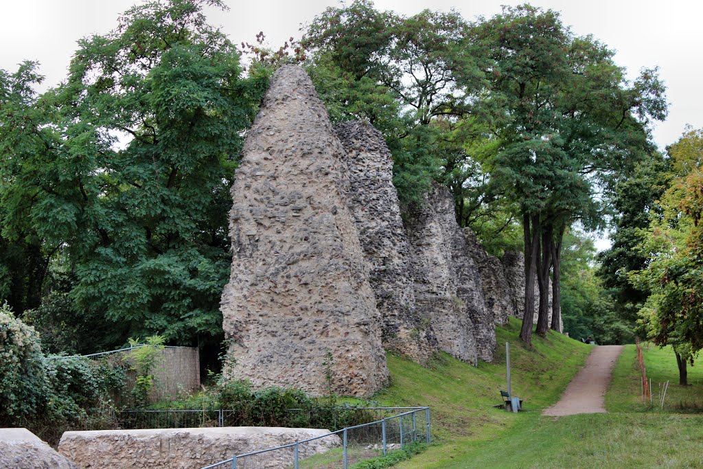 Reste der Römischen Wasserleitung in Mainz by oller rainer