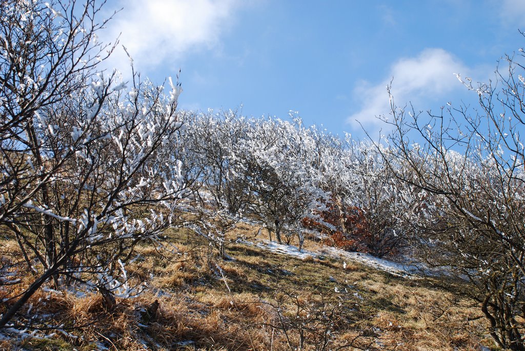 Val di Ranco in Inverno 1 by Claudio Fortunato