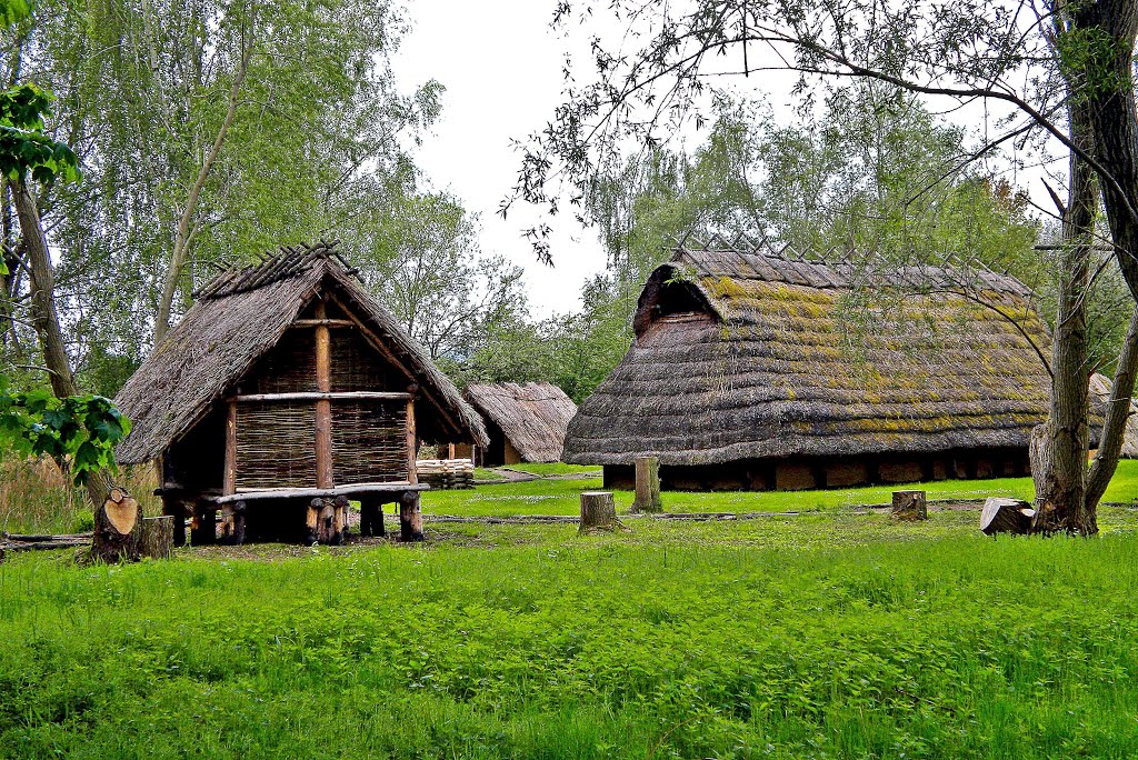 Opfermoor Niederdorla - Pfahlhäuser by ThüringerWandervogel