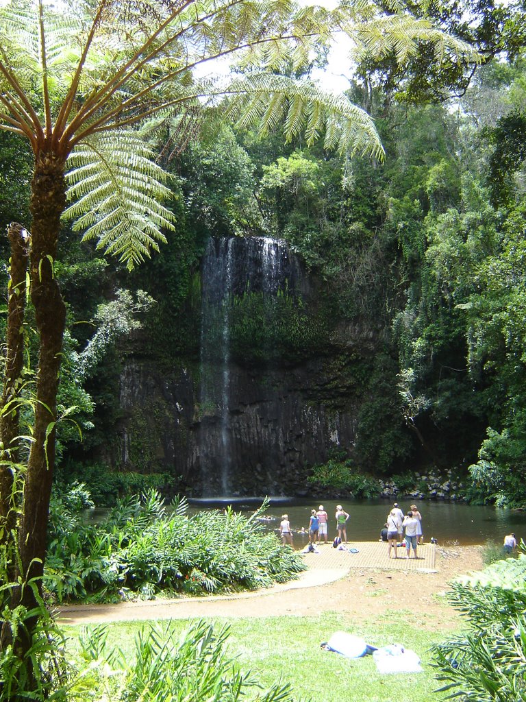 Millaa Millaa Falls by gabry_a