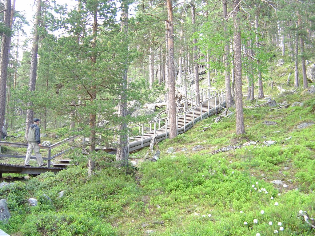 Steps to Karhunpesäkivi by Mikko Reenilä