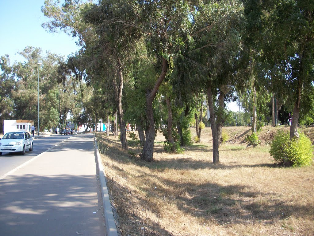 Rabat: Avenue Rahba by Mhamed Zarkouane