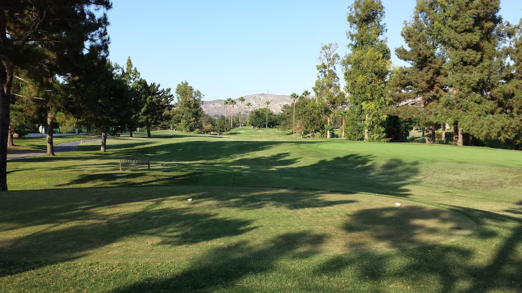 Tustin Golf Club #13 by Shylos10