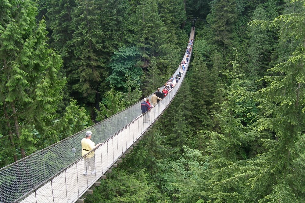 Canada Vancouver Capilano Suspension Bridge by Leo van Gog