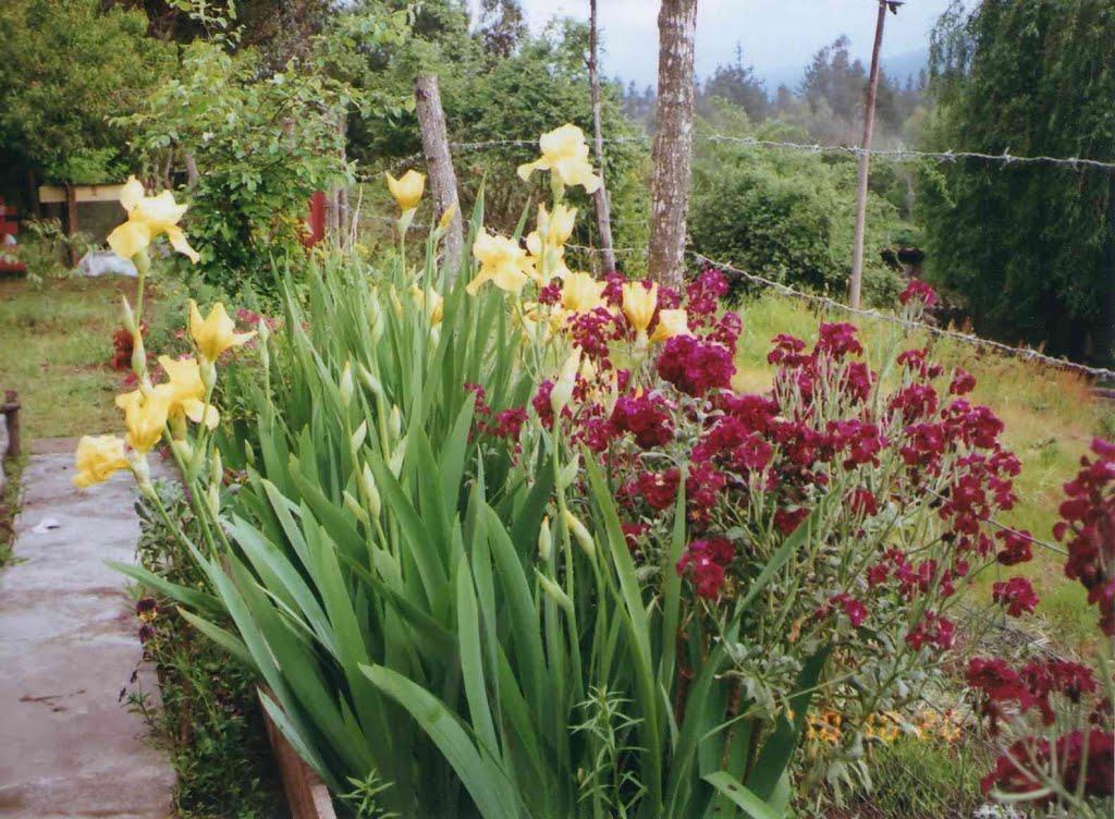 Jardin en Quilacoya by Cristina Retamal