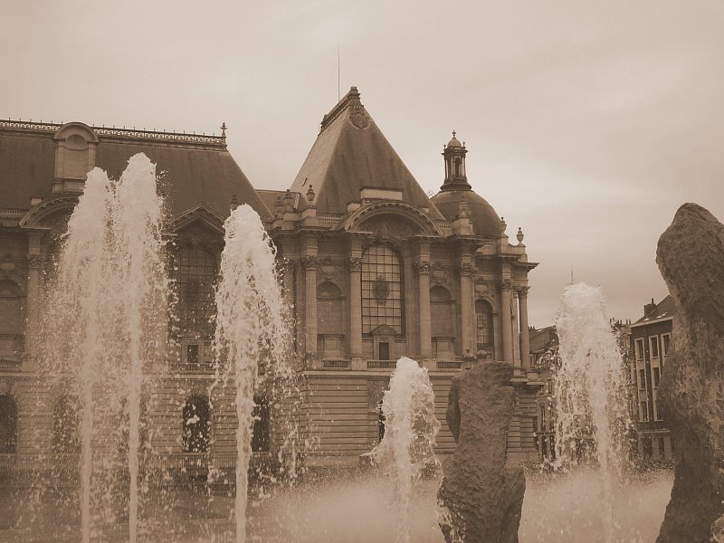 Palais des beaux arts by François L.