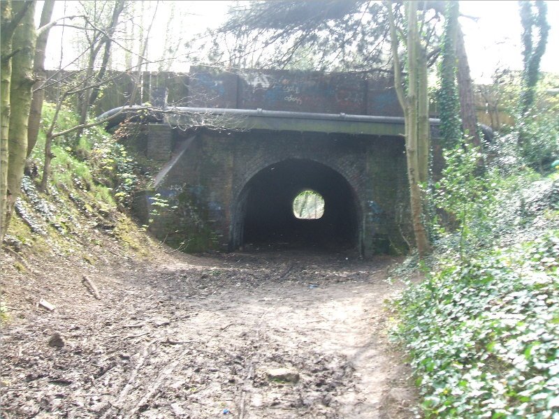 Hagley Rd Bridge by dave marsh