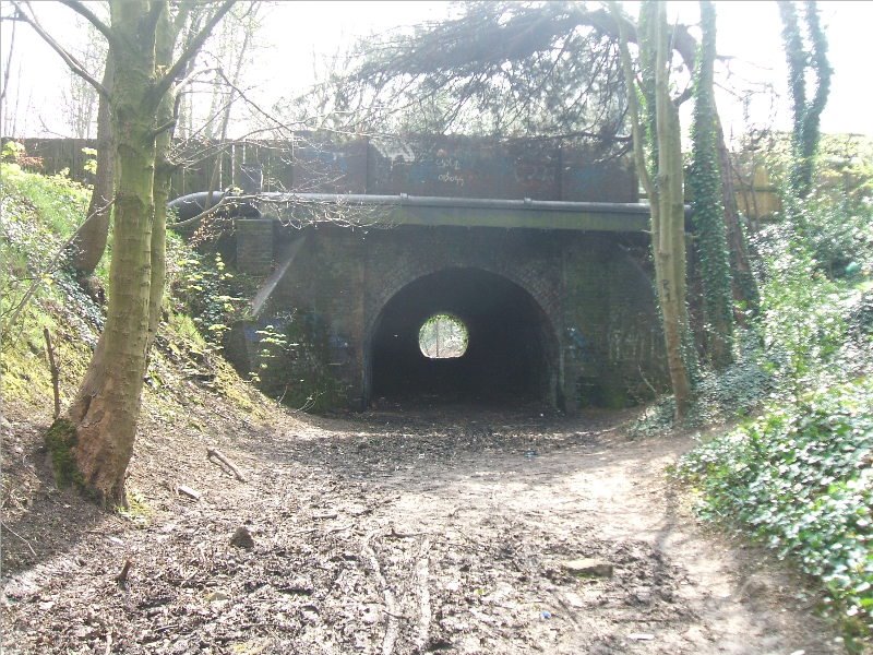 Harborne Walkway, Hagley Rd bridge by dave marsh