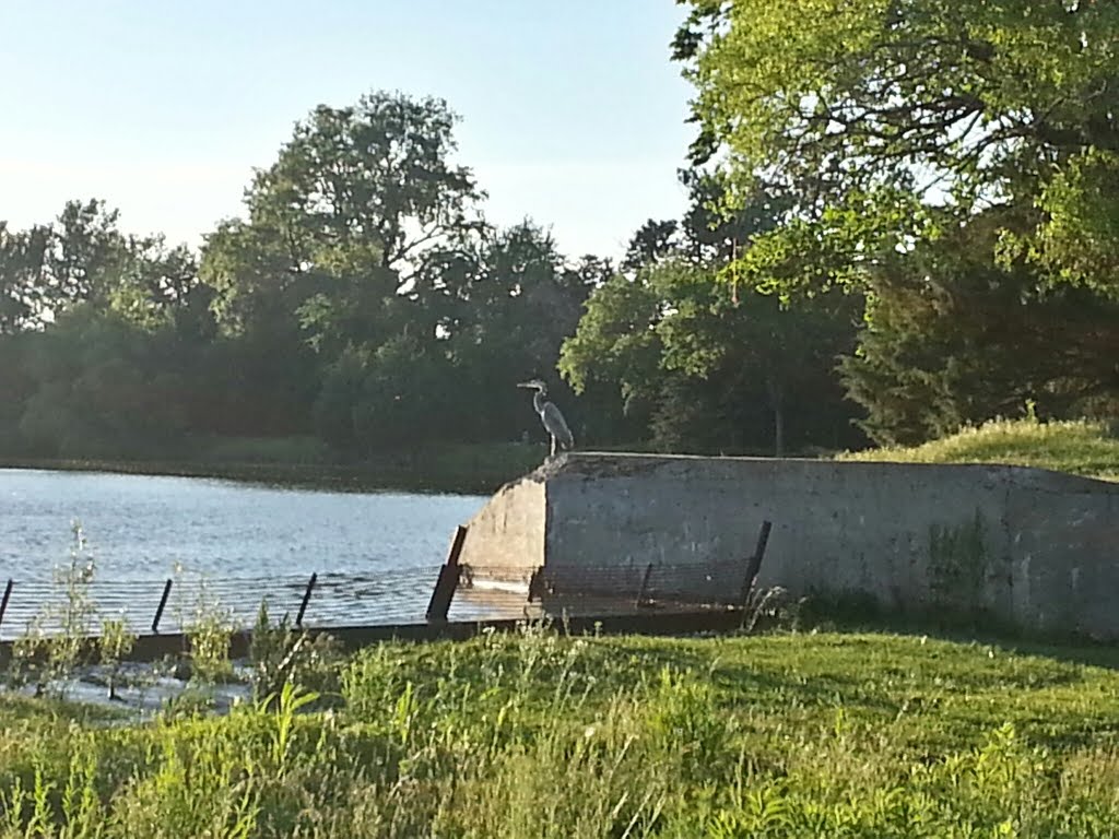 Crane at Santa Fe Lake by Broken Toy