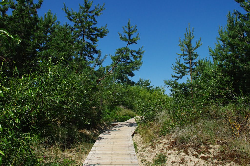 LITHUANIA-PALANGA-SEASIDE by DaiwWa