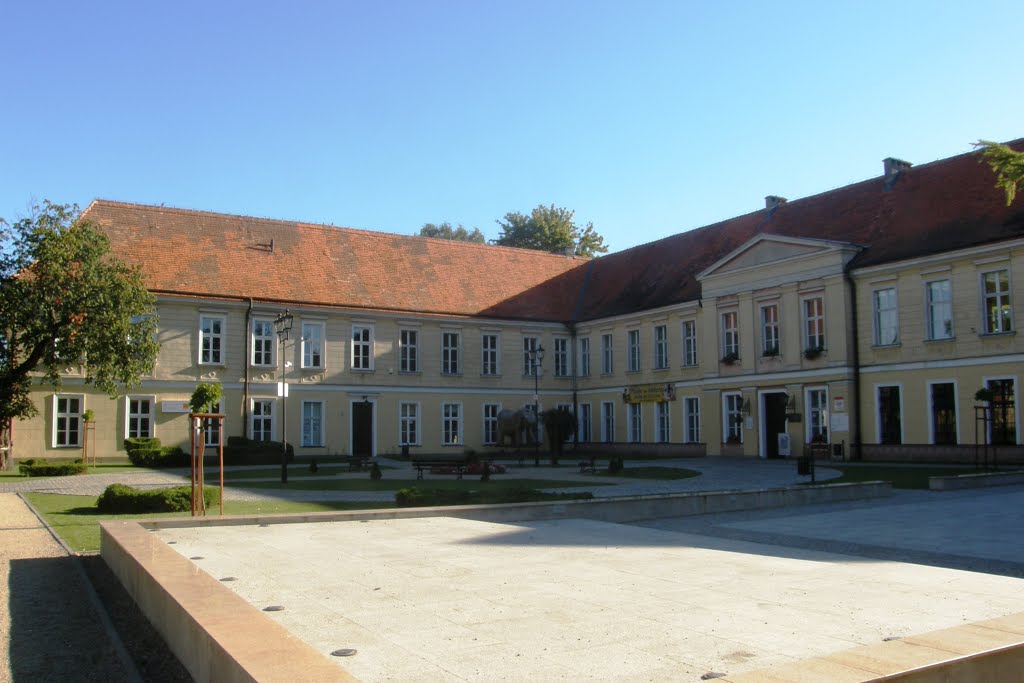 Trzebiatów - pałac (palace) by JerzyI