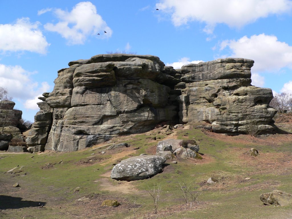 Brimham Rocks by Andy Hollingdale